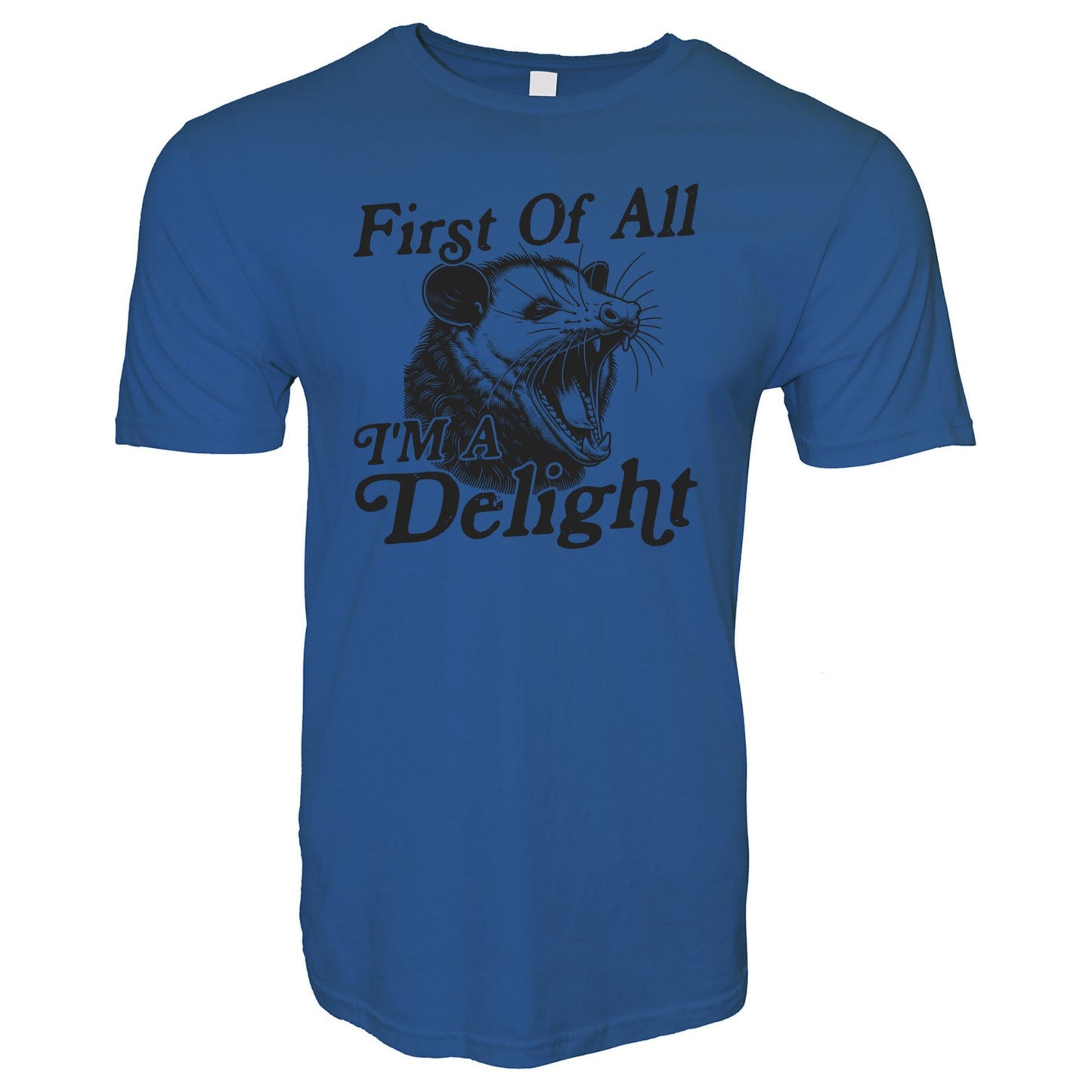 First Of All I'm a Delight Stoopid Original T-Shirt