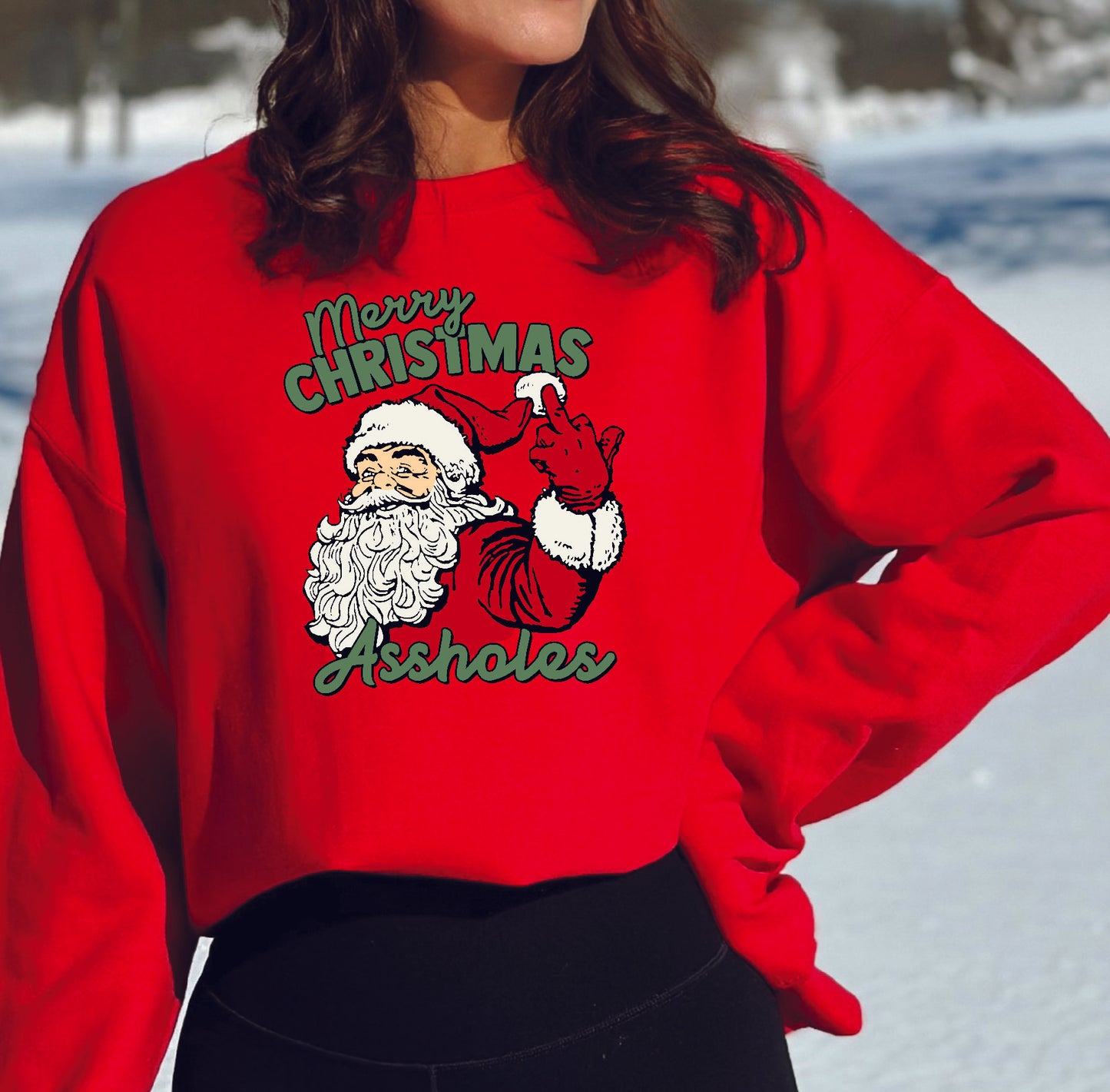 Merry Christmas Assholes Crewneck/Hoodie/Long Sleeve Christmas Stoopid Original