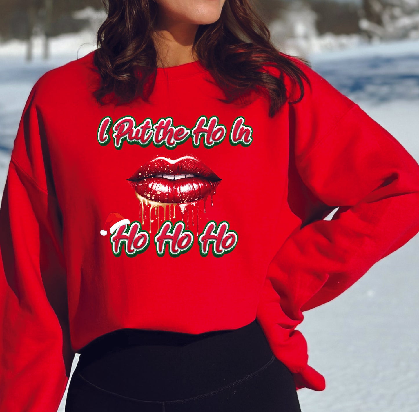 I Put the Ho in HO HO HO Crewneck/Hoodie/Long Sleeve Christmas Stoopid Original